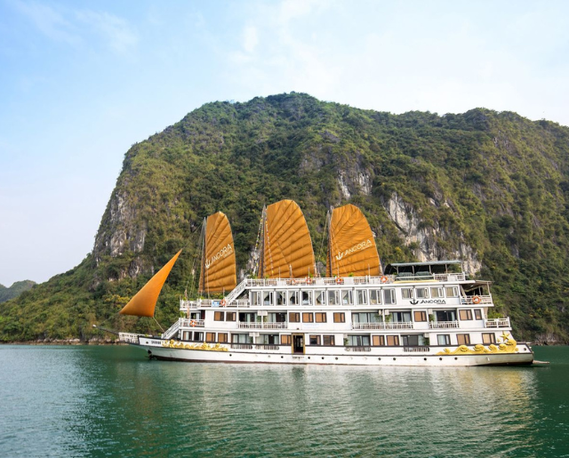 Ancora Cruise