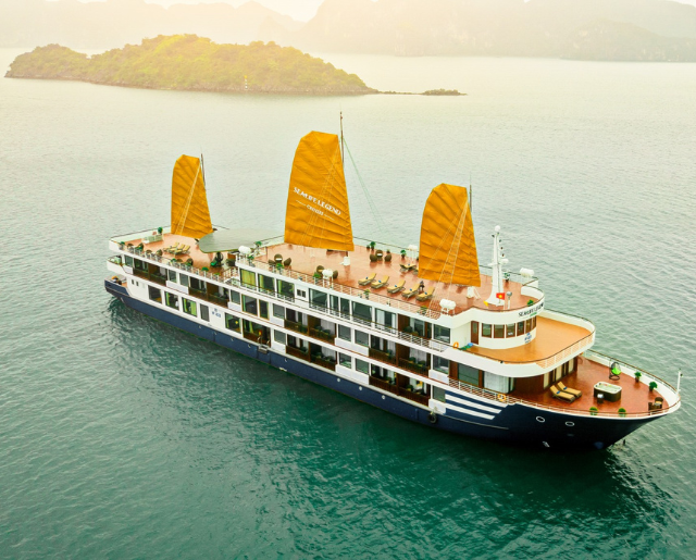 Erina Cruise
